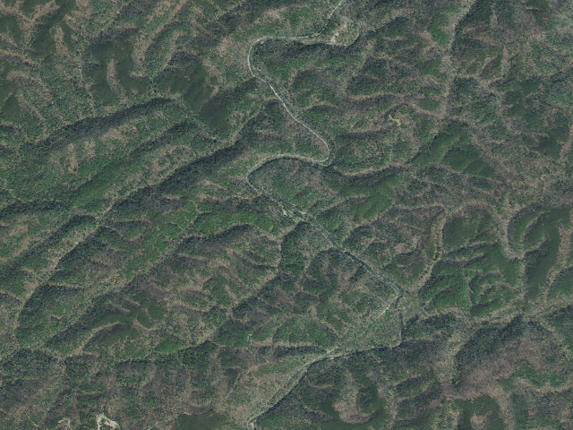 Aerial image of Young Branch Horse Camp