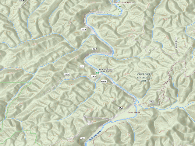 USGS topographic map of Young Branch Horse Camp