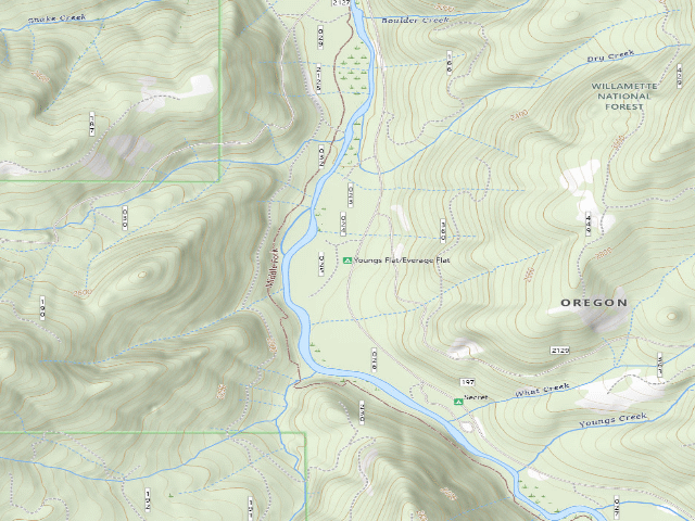 USGS topographic map of Youngs Flat/Everage Flat