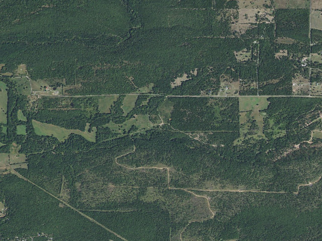 Aerial image of Yourman WMA primitive camp #1