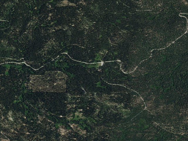 Aerial image of Yuba Pass Campground