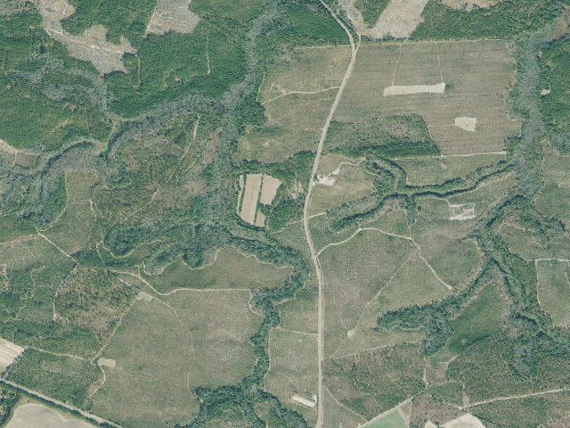 Aerial image of Yuchi WMA Primitive Campground #1