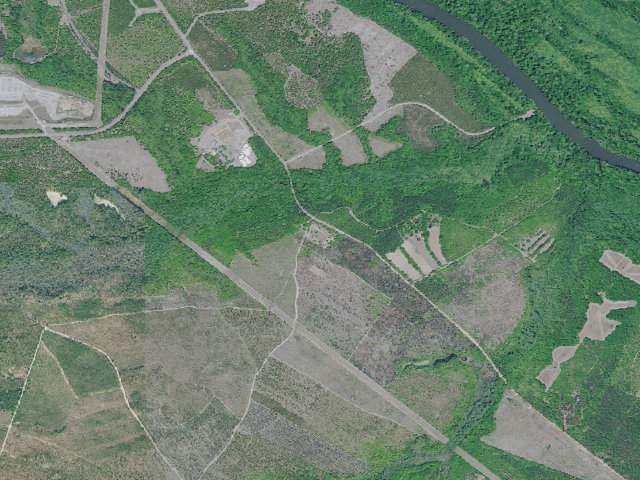Aerial image of Yuchi WMA Primitive Campground #2