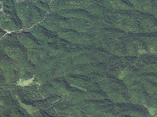 Aerial image of Zaleski State Forest Backpack Trail - Camp 1