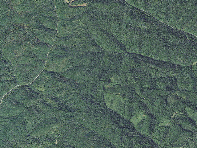 Aerial image of Zaleski State Forest Backpack Trail - Camp 3