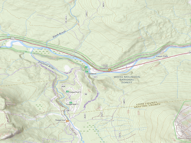 USGS topographic map of Zealand Campground