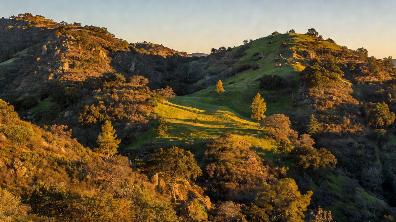 An imagined scene of Cleveland National Forest