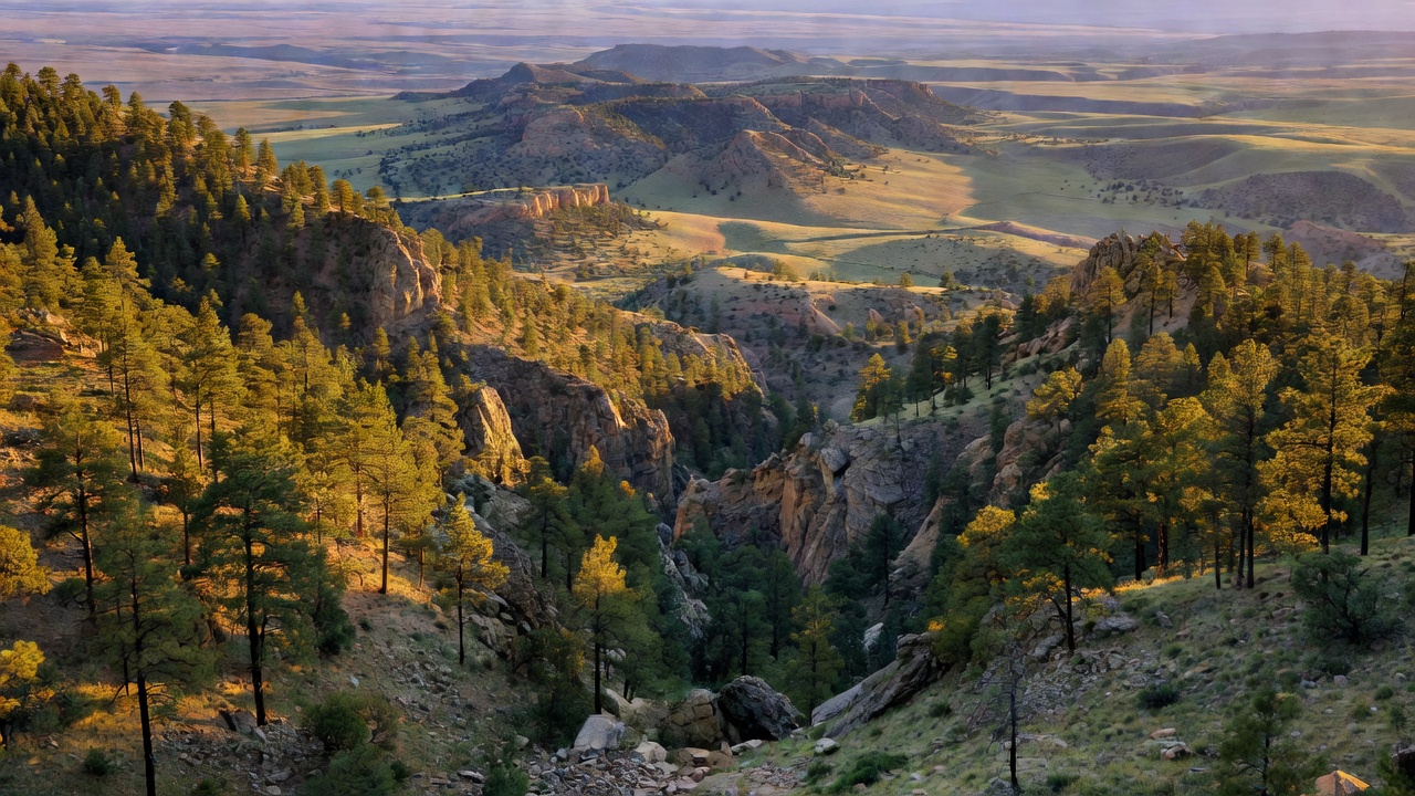 An imagined scene of Gila National Forest