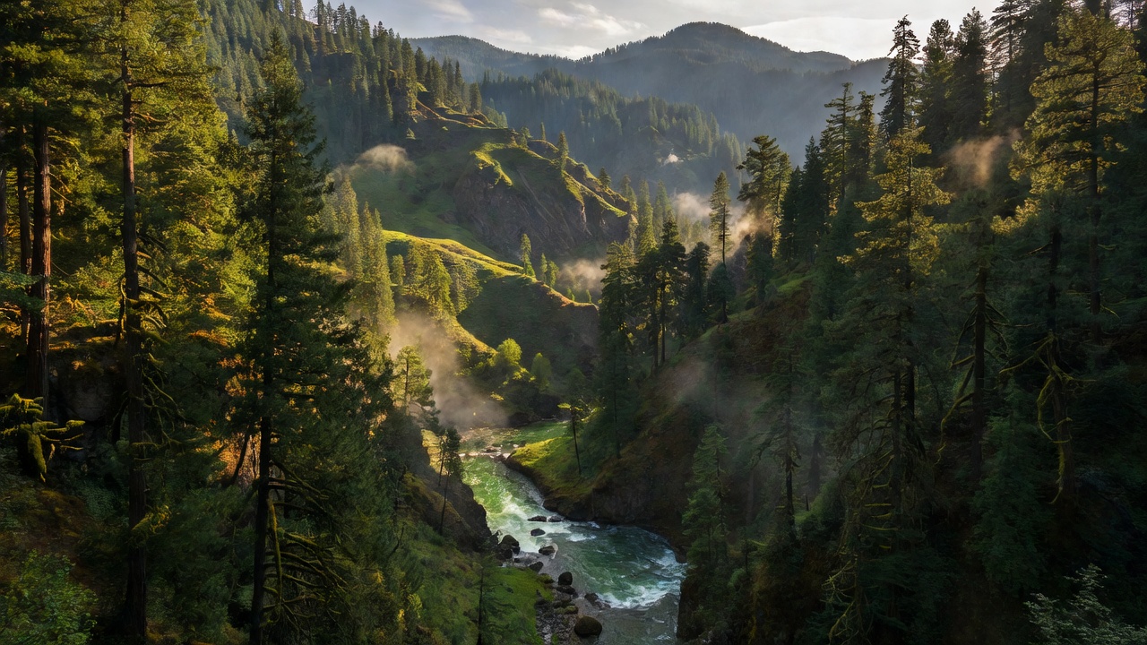 An imagined scene of Rogue River-Siskiyou National Forests