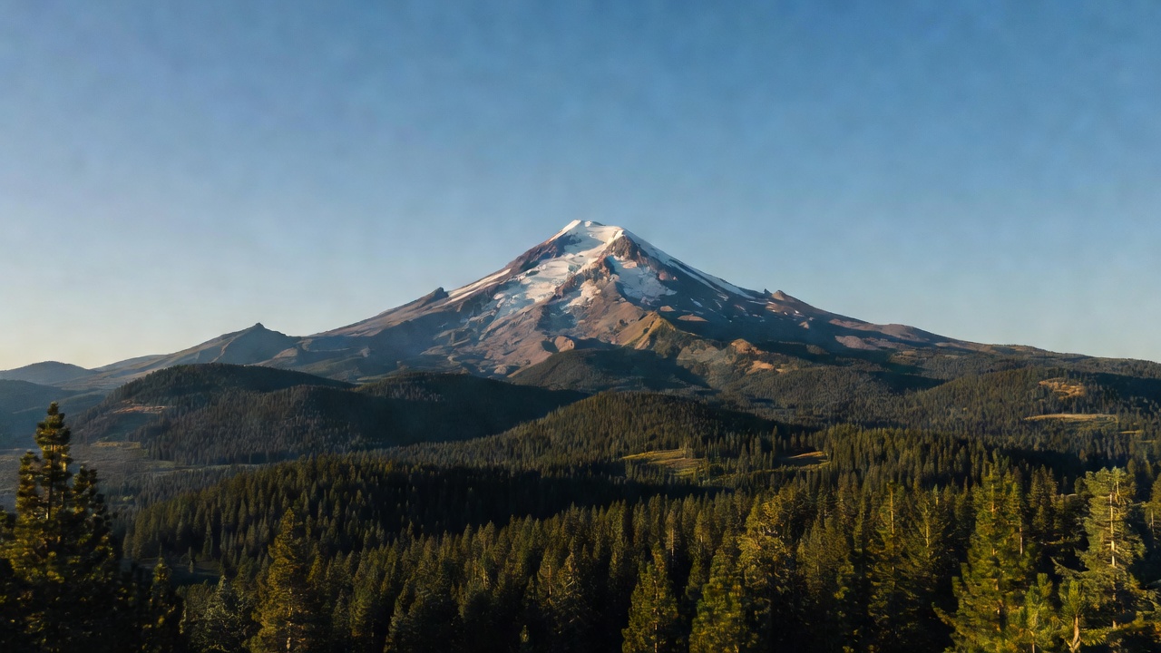 An imagined scene of Shasta-Trinity National Forest