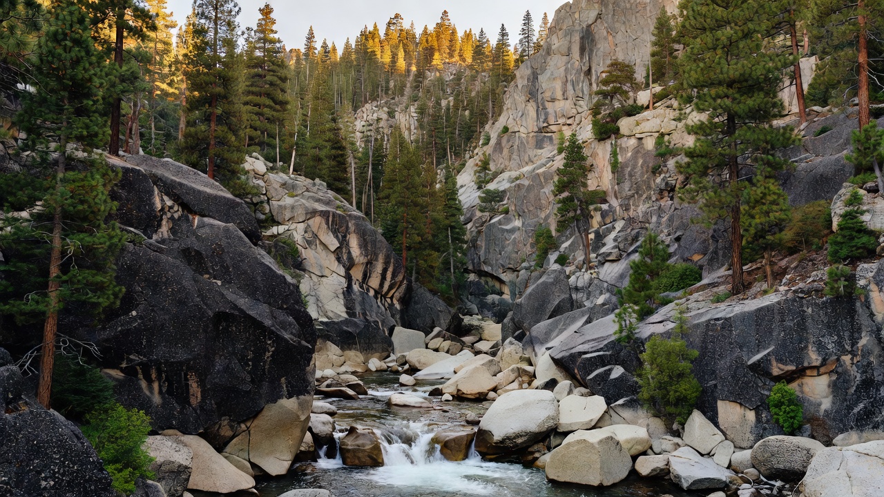 An imagined scene of Stanislaus National Forest