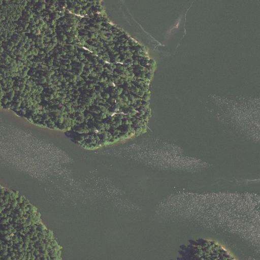 Aerial view of the land around Houston National Forest — near Lake Conroe