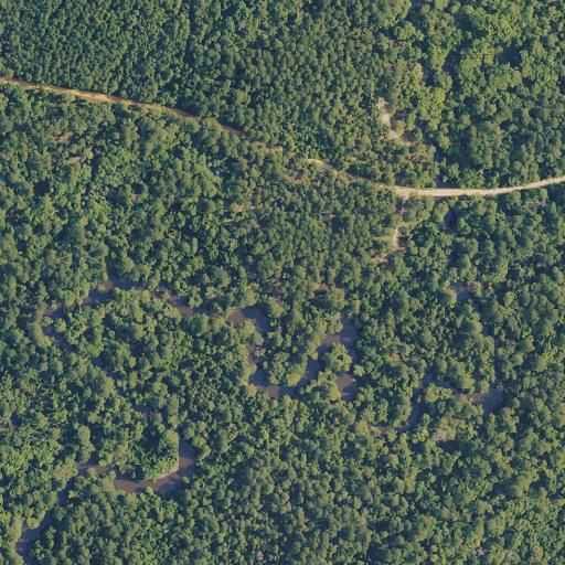 Aerial view of the land around Kisatchie National Forest