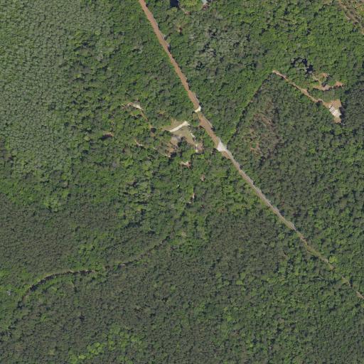 Aerial view of the land around Francis Marion National Forest — near Charleston