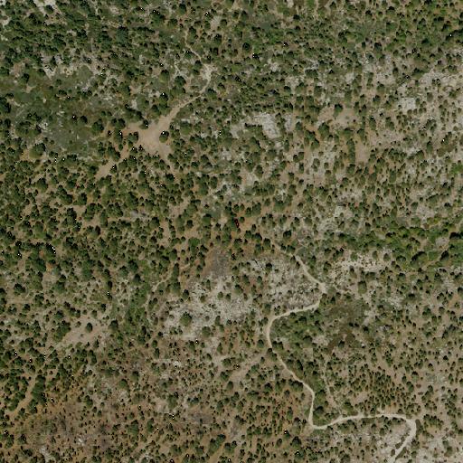 Aerial view of the land around San Bernardino National Forest — near Big Bear Lake