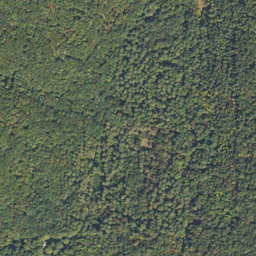 Aerial view of the land around Floyd County — near Rome