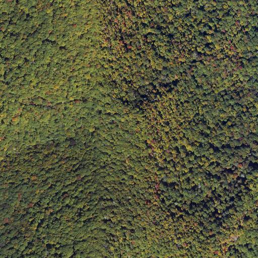 Aerial view of the land around Macon County