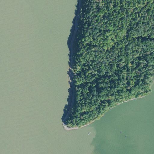 Aerial view of the land around Stewart County