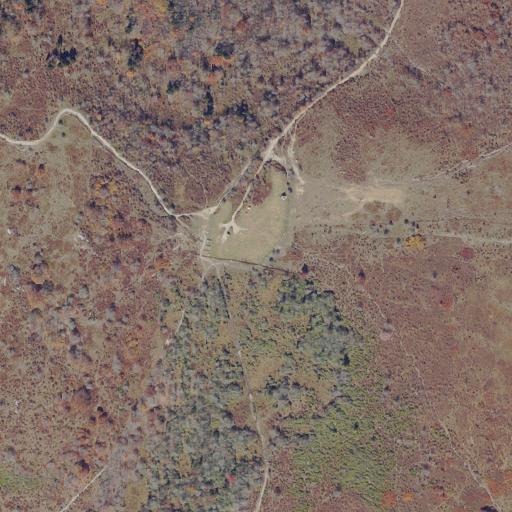 Aerial view of the land around Grayson County