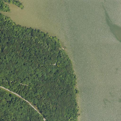 Aerial view of the land around Trigg County