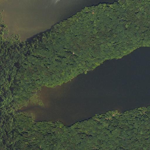 Aerial view of the land around Trigg County