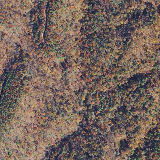 Aerial view of the land around In George Washington National Forest