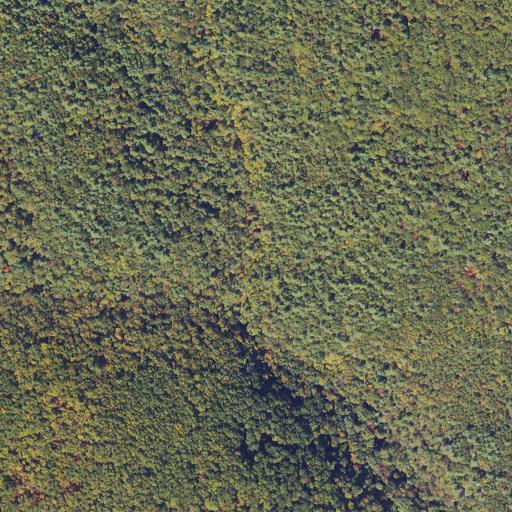 Aerial view of the land around Amherst County