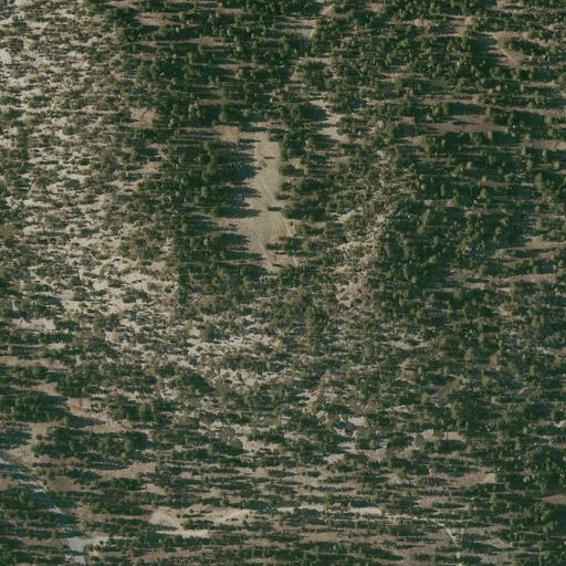 Aerial view of the land around Inyo National Forest — near Mammoth Lakes