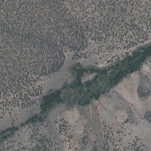 Aerial view of the land around Inyo National Forest