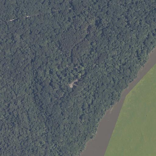 Aerial view of the land around Perry County