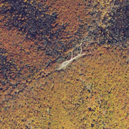 Aerial view of the land around George Washington National Forest