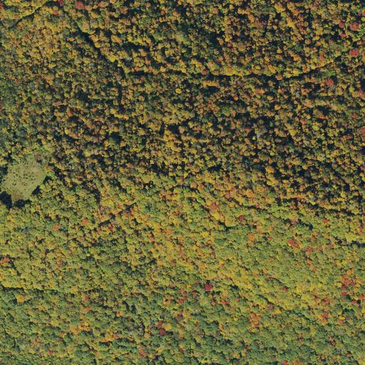 Aerial view of the land around Monongahela National Forest