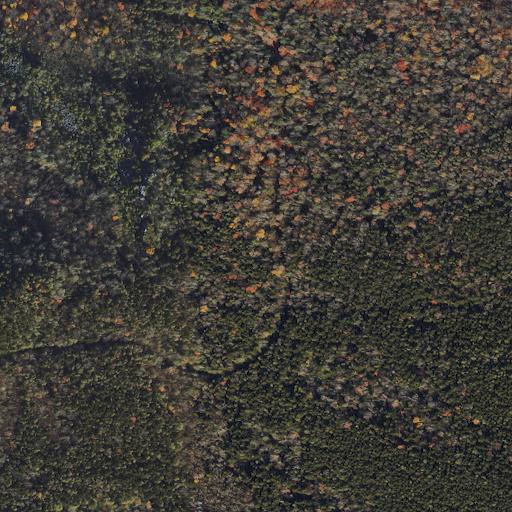 Aerial view of the land around Tucker County — near Blackwater Falls