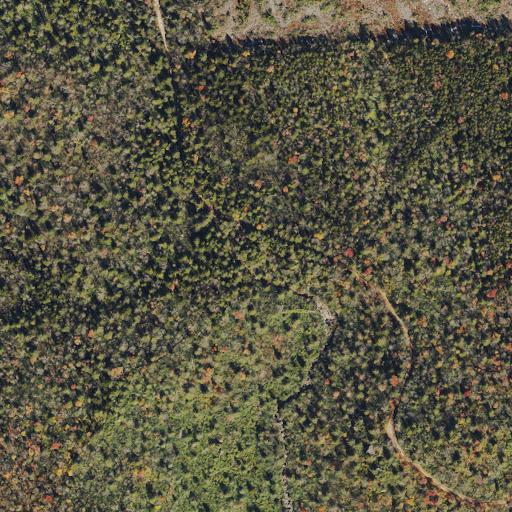 Aerial view of the land around Monongahela National Forest
