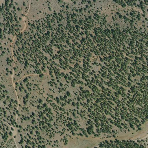 Aerial view of the land around Nevada County — near Boca Reservoir