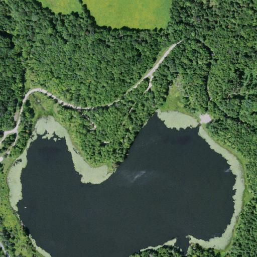 Aerial view of the land around Hunts Pond State Forest