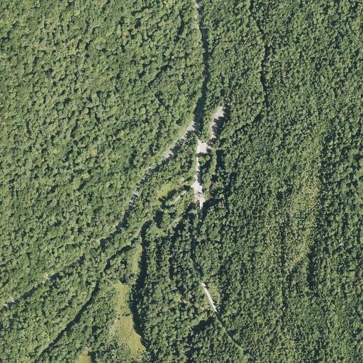 Aerial view of the land around In White Mountain National Forest