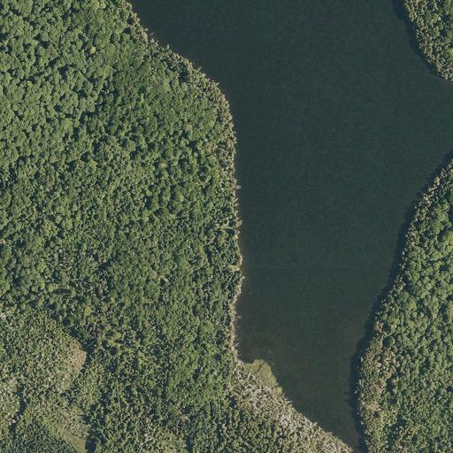 Aerial view of the land around Orleans County