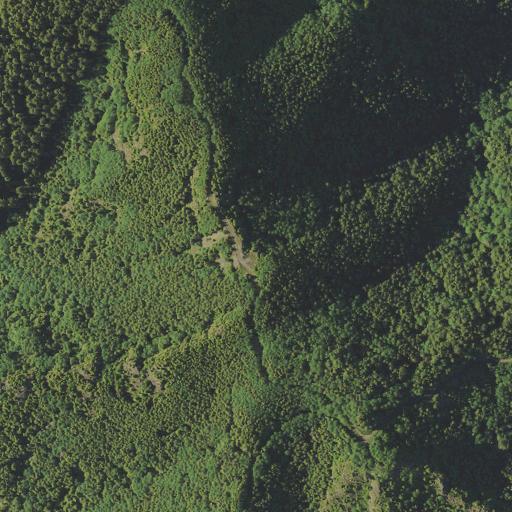 Aerial view of the land around Tillamook State Forest