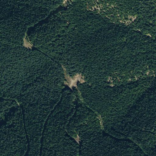 Aerial view of the land around Pierce County — near Lonesome Lake