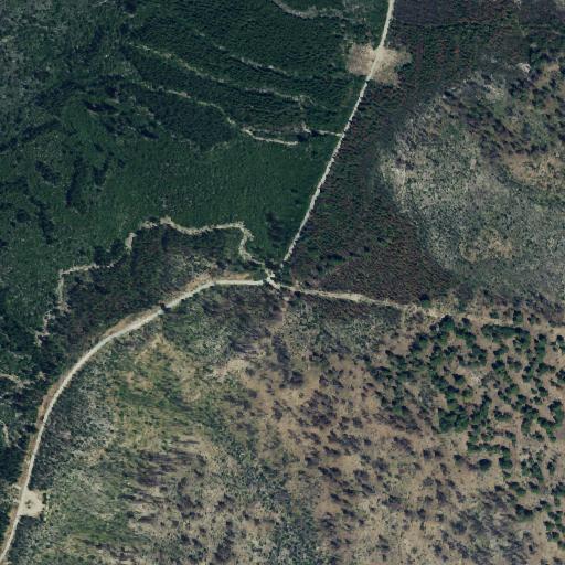 Aerial view of the land around Chelan County — near Lake Chelan