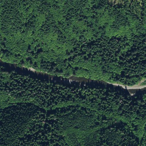 Aerial view of the land around Clallam County — near Forks
