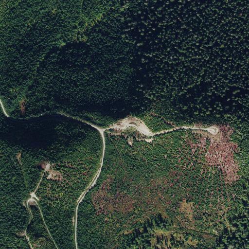 Aerial view of the land around Skagit County — near Mount Baker